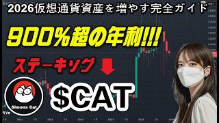 初心者向けCAT運用完全ガイド
