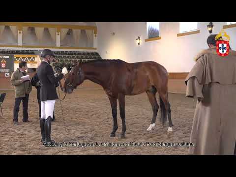 220129 24 Notável R - Aprovação de Garanhões