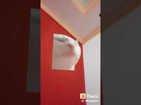 Mc Menor Mr A favela ta lazer 🙏