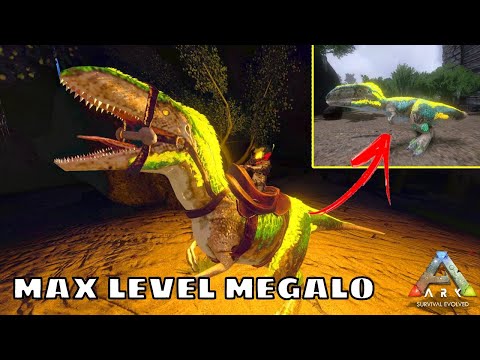 MAX LEVEL MEGALOSAURUS TAMING AND BREEDING!! ARK SURVIVAL EVOLVED MOBILE