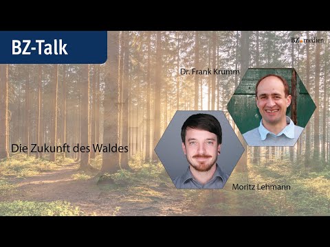 Die Zukunft des Waldes