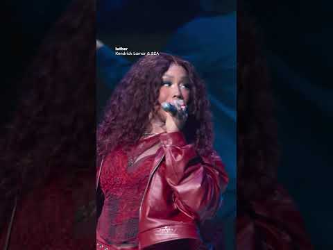 Kendrick Lamar's 'luther' performance at Super Bowl. That's it. That's the post.