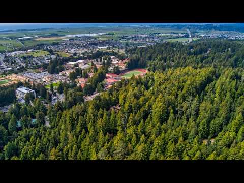 Zillow Arcata