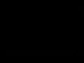 Bee Movie Filmmakers Commentary 2007