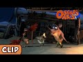 Oscar S Oasis Dancing In The Moonlight HQ Funny Cartoons