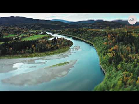 Cantos de Alabanza y adoración