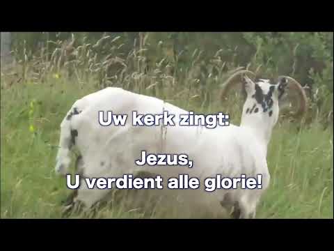 OPwekking 864 Alle glorie