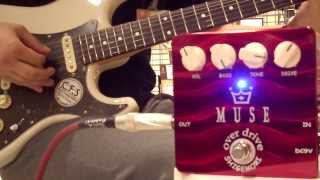Video thumbnail for SHIGEMORI MUSE demo by 島村楽器 フレンテ南大沢店