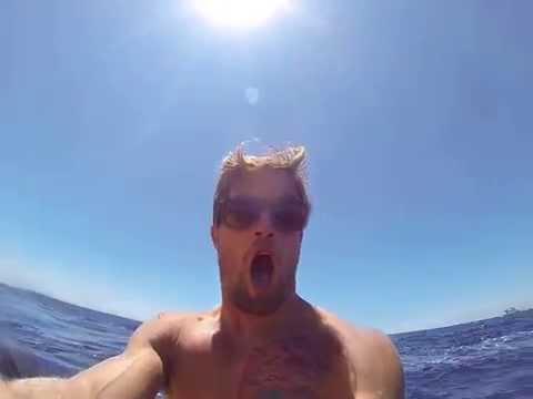 Blue Whale encounter