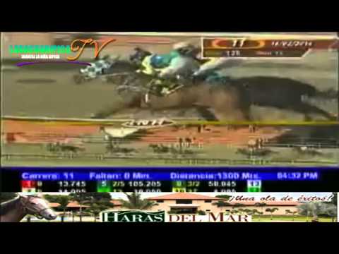 LA RINCONADA 11 CARRERA DOMINGO 16 DE FEBRERO DEL 2014