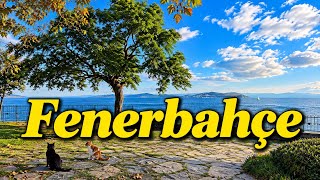 Bizans Sarnıçlarından Tarihi Köşklere Bir Semt Hikâyesi: Fenerbahçe