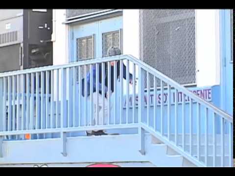 Andrew Reynolds - Bake and Destroy