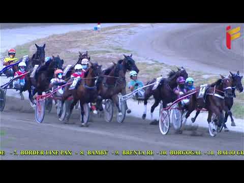 VI Corsa del 11 Agosto 2021 - 4 Anni - TQQ - Metri 1600