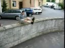 Le Parkour Sandomierz Toczek 2008 - trzeci filmik