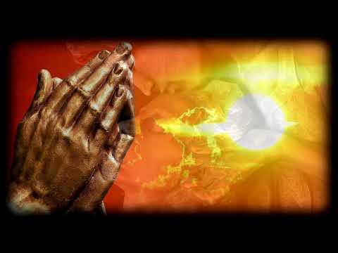 Nelu Slev - The Wonder of You -