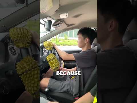 Unique Way of Learning How to Drive