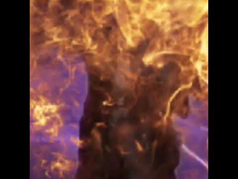 Through Patches Of Violet X Gangnam Style (an actual synced up version)