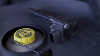 Диагностика двигателя (гастроскопия) Porsche Panamera