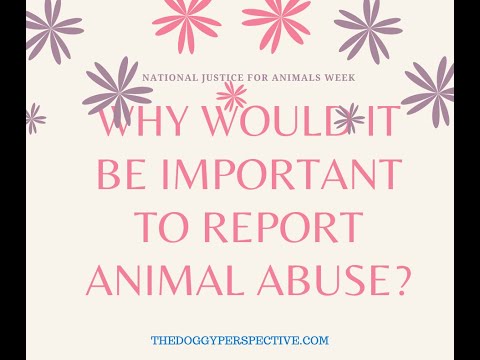 WHY WOULD IT BE IMPORTANT TO REPORT ANIMAL ABUSE?