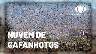 Miniatura do vídeo