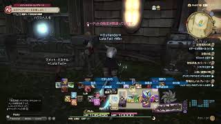 【FF14】蒼メッシュミコッテの忍者スキル回し練習