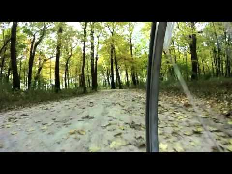 The Forest Awakens, or What You Will - Trailer (Official)