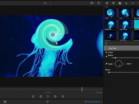 LumaFusion: Pro Video Editing