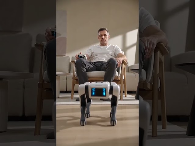 Vídeo relacionado con Perro robot que camina luces sonidos Cyber Dog Pet Robot Cachorro ladra y Scodinzola suena y se ilumina Perro Juguete interactivo Cachorro Electrónico Perrito Multifunción Caminante Mueve la Cola