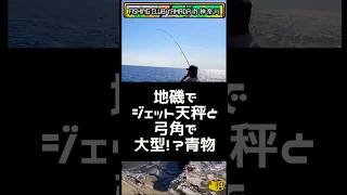 【神奈川県釣り】ジェット天秤、弓角、大型青物!? #short