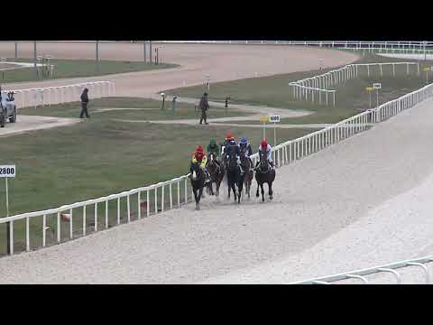 2020.12.27. 08. futam - VISZONTLÁTÁSRA HENDIKEP (III.o.) (szintetikus pálya)