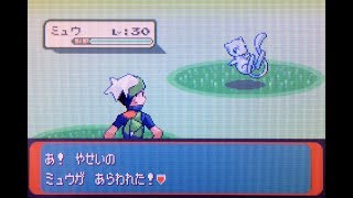 ミュウ ポケットモンスター イワーク バニリッチ ノズパス ミュウ ポケットモンスター イワーク バニリッチ ノズパス