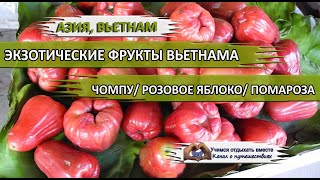 Донна каран розовое яблоко