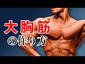 ボディビル日本2位の大胸筋の作り方を大公開!〇〇しないと筋肉はデカくならない【嶋田慶太】