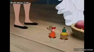 سندريلا والفرسان الاربعة الحلقة 1 मफत ऑनलइन