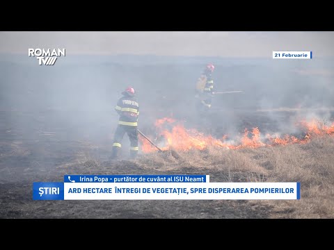 Ard hectare întregi de vegetație, spre disperarea pompierilor