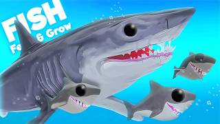 Download lagu Raising An ADORABLE Mako Shark Family! | Feed & Grow Fish mp3