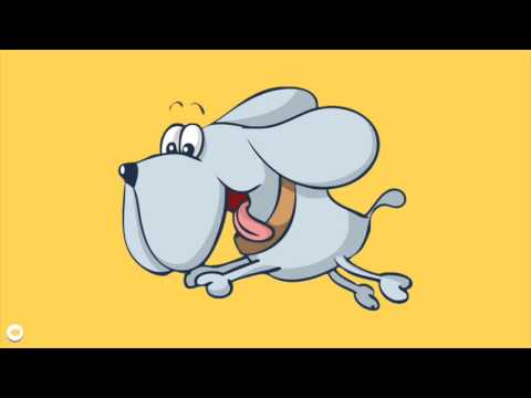 Puzzle Games for Kids Video