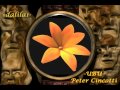 Peter Cincotti.- UBU