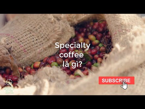 Café Especial la gì?