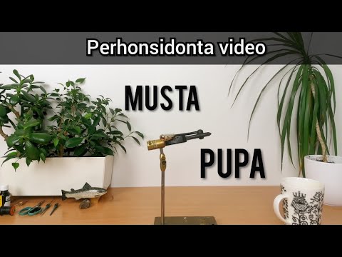 Perhonsidontaa - Musta pupa (2019 paras taimenperho)