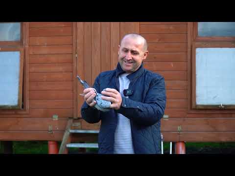 Piotr Bugała - Zapowiedź aukcji