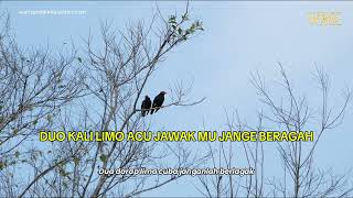 Download lagu Burung Tiong - Fendi Ayam Serama | Lirik & Subtitle mp3