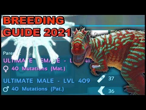Ark Breeding Guide | COMPLETE Ark Guide | Upgrade With Mutagen & Breeding for ULTIMATE Stats!