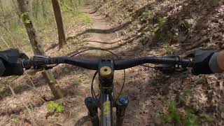 Pinhoti 3 from Overlook to Conasauga Road