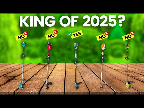 6 Best Battery String Trimmer 2025