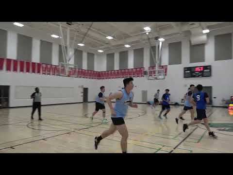 Washed Sharks (39) Tier 8 - 2023 SPRING Bumble Bees(21) - tcbl sunday