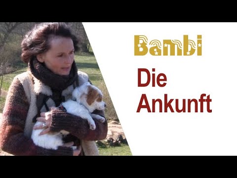 "DIE ANKUNFT" - BAMBI und die große Welt von Maja Nowak, Teil 1
