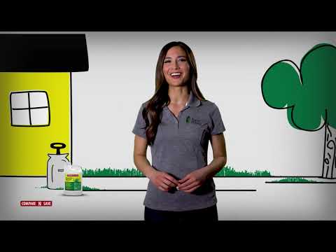 Compare N' Save Weed Killer for Lawns