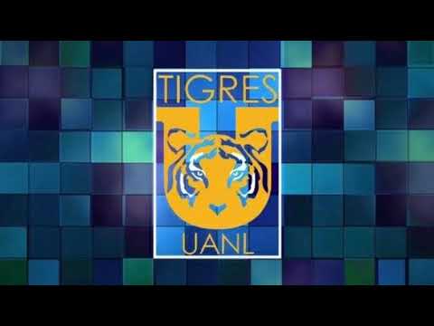 Dale Tigres /Hincha de Tigres