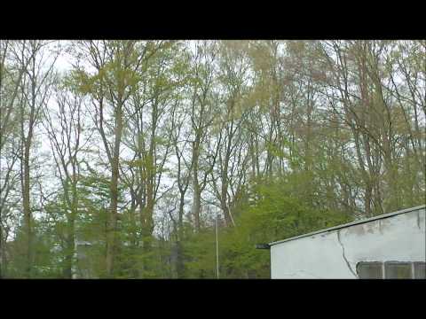 Heftiger Naheinschlag: April 2012 - Geschrei mit Begeisterung.